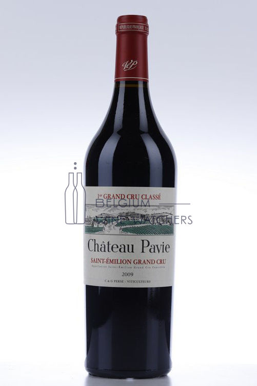 Picture of 2009 PAVIE